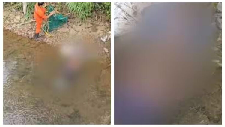 പത്തനാപുരത്ത് മധ്യവയസ്കന്റെ മൃതദേഹം കനാലിൽ; കൊലപാതകമെന്ന് പ്രാഥമിക നിഗമനം; സഹോദരൻ കസ്റ്റഡിയിൽ