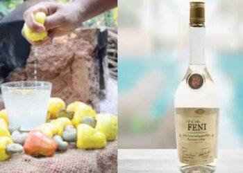 ഇനി ഫെനി അടിക്കാൻ ​ഗോവയ്ക്കു പോകണ്ട, നല്ല സൊയമ്പൻ സാധനം കണ്ണൂരിലും കിട്ടും!! കശുമാങ്ങ മദ്യത്തിന് നിയമസഭാ സബ്ജക്ട് കമ്മിറ്റിയുടെ അനുമതി, കാഞ്ഞിരക്കൊല്ലിയിൽ നാല് ഏക്കർ ഭൂമിയിൽ ഡിസ്റ്റിലറി