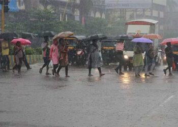 ഇന്ന് അവധി പ്രഖ്യപിച്ച സ്കൂളുകൾ ഇതൊക്കെയാണ്…!! സംസ്ഥാനത്ത് കനത്തമഴ തുടരുന്നു…