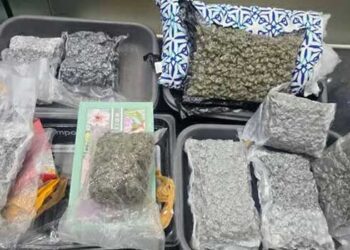 ബെംഗളൂരുവിലെ പബ്ബിൽ വച്ച് പരിചയപ്പെട്ടു സുഹൃത്തുക്കളായി, 23 കാരനെ തായ്ലാൻഡ് കാണിക്കാൻ കൊണ്ടുപോയി തിരിച്ചെത്തിയത് 10 കോടിയുടെ ഹൈബ്രിഡ് കഞ്ചാവുമായി, മലപ്പുറം സ്വദേശികളായ യുവതിയും യുവാവും അറസ്റ്റിൽ