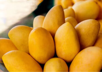 മാമ്പഴത്തിന്റെ അതിശയിപ്പിക്കുന്ന ആരോ​ഗ്യ​ഗുണങ്ങൾ, ന്യൂട്രീഷ്യനിസ്റ്റ് പറയുന്നു