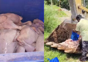 കൊല്ലത്ത് പഴകിയ കോഴിയിറച്ചി പിടികൂടി.