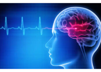 സ്ട്രോക്ക് അഥവാ പക്ഷാഘാതം; ഈ സൂചനകളെ തിരിച്ചറിയാതെ പോകരുത്