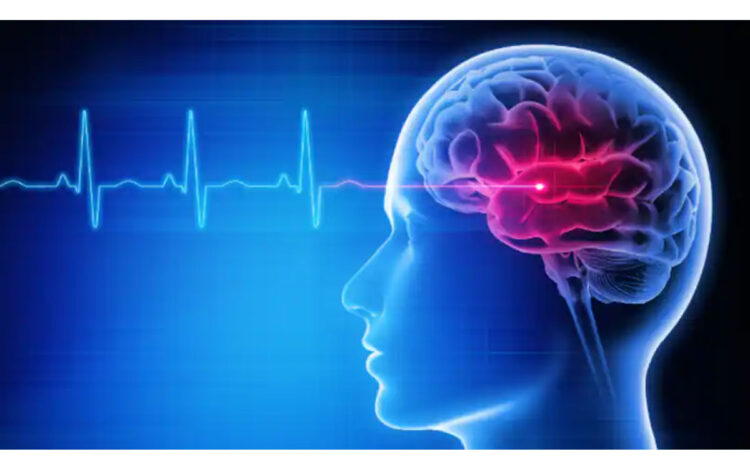 സ്ട്രോക്ക് അഥവാ പക്ഷാഘാതം; ഈ സൂചനകളെ തിരിച്ചറിയാതെ പോകരുത്