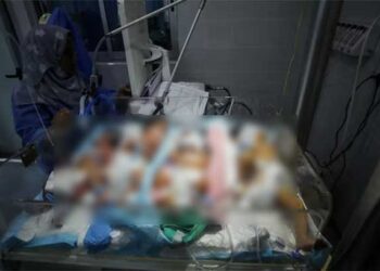 ഗാസയിലെ ആശുപത്രിയിൽ ഒരു ഇൻക്വബേറ്ററിൽ ഒന്നിലധികം നവജാത ശിശുക്കളെ പരിചരിക്കേണ്ട അവസ്ഥ… വീണ്ടും ഇസ്രയേൽ ബോംബാക്രമണത്തിൽ  10 കുട്ടികൾ അടക്കം 16 പാലസ്തീനികൾ കൊല്ലപ്പെട്ടു…, വെടിനിർത്തൽ ചർച്ച എങ്ങുമെത്തിയില്ല