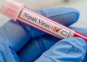 കേരളത്തിൽ വീണ്ടും നിപ, സ്ഥിരീകരിച്ചത് പാലക്കാട് സ്വദേശിനിക്ക്, നൂറിലധികം പേർ ഹൈറിസ്ക് സമ്പർക്ക പട്ടികയിൽ