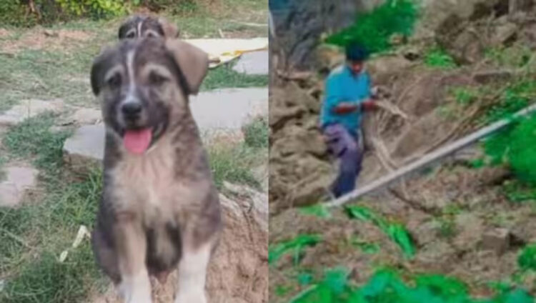 പുലർച്ചെ ഒരു മണിക്ക് നായയുടെ ഉച്ചത്തിലുള്ള കുര, ഉണർന്നപ്പോൾ വീടിന് വിള്ളൽ; 67 പേരുടെ ജീവൻ രക്ഷിച്ചത് വളർത്തുനായ