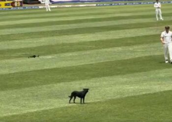 നീയൊക്കെ കളിക്കുന്നത് എനിക്കൊന്നു കാണണം!! ഓസ്‌ട്രേലിയ- വെസ്റ്റിൻഡീസ് കളിക്കിടെ ഡീപ് കവർ ഏരിയയിൽ നിലയുറപ്പിച്ച് ഒരു ‘ശുനകൻ’, നിന്റെ കളി എന്റെയടുത്തോ… നായയെ തുരത്തി ഓപ്പറേറ്റർ ഡ്രോൺ- വീഡിയോ