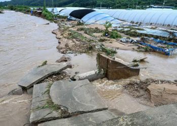 120 വർഷത്തിനിടയിലെ ഏറ്റവും ശക്തമായ മഴ, വെള്ളത്തിൽ മുങ്ങി ദക്ഷിണ കൊറിയൻ ഗ്രാമങ്ങൾ, 14 മരണം