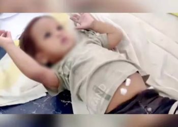 കളിച്ചുകൊണ്ടിരിക്കെ കൈയിൽ മൂർഖൻ ചുറ്റി; കടിച്ചുകൊന്ന് ഒരു വയസുകാരൻ, കുട്ടിയെ ആശുപത്രിയിൽ പ്രവേശിപ്പിച്ചു