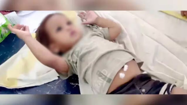 കളിച്ചുകൊണ്ടിരിക്കെ കൈയിൽ മൂർഖൻ ചുറ്റി; കടിച്ചുകൊന്ന് ഒരു വയസുകാരൻ, കുട്ടിയെ ആശുപത്രിയിൽ പ്രവേശിപ്പിച്ചു