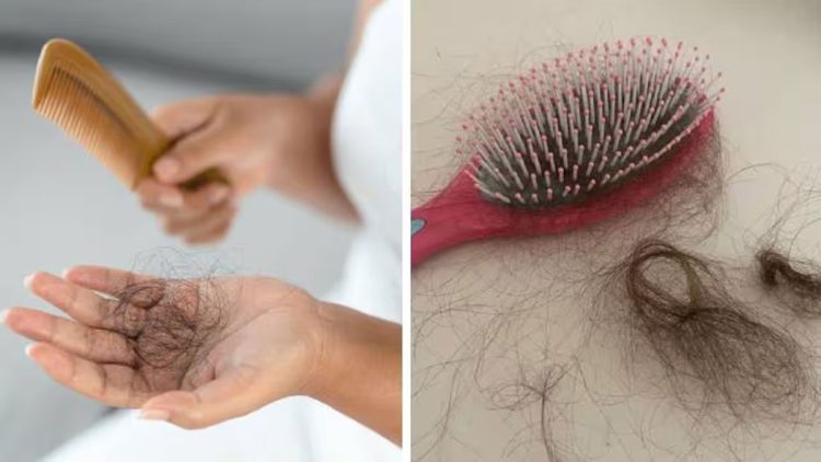 മുടികൊഴിച്ചിൽ കുറയ്ക്കുന്നതിന് വീട്ടിൽ തന്നെ ചെയ്യാവുന്ന ചില കാര്യങ്ങൾ