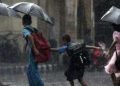 അതിതീവ്ര മഴ; കാസർകോട്, കണ്ണൂർ, വയനാട് ജില്ലകളിലെ വിദ്യാഭ്യാസ സ്ഥാപനങ്ങൾക്ക് വെള്ളിയാഴ്ച അവധി, മുൻകൂട്ടി തീരുമാനിച്ച പരീക്ഷകളിൽ മാറ്റമില്ല