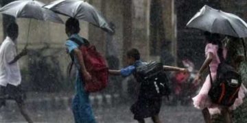 അതിതീവ്ര മഴ; കാസർകോട്, കണ്ണൂർ, വയനാട് ജില്ലകളിലെ വിദ്യാഭ്യാസ സ്ഥാപനങ്ങൾക്ക് വെള്ളിയാഴ്ച അവധി, മുൻകൂട്ടി തീരുമാനിച്ച പരീക്ഷകളിൽ മാറ്റമില്ല