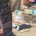 പന്തീരങ്കാവ് ബാങ്ക് കവർച്ച: മുഖ്യപ്രതിയുടെ വീടിനടുത്തുള്ള പറമ്പ് കുഴിച്ചപ്പോൾ കിട്ടിയത് നനഞ്ഞു കുതിർന്നതും കീറിയതുമായ 39 ലക്ഷം രൂപ, പണം കണ്ടെത്തിയതു ഒരുമാസവും രണ്ടുദിവസവും കഴിഞ്ഞ്