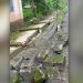 സ്കൂൾ മതിൽ തകർന്ന് വീണു, അവധി ദിവസമായതിനാൽ വൻ അപകടം ഒഴിവായി