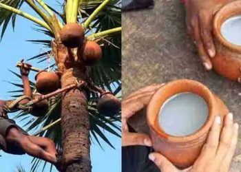 ബ്രിട്ടീഷ്-ഇന്ത്യ സ്വതന്ത്ര വ്യാപാര കരാറിൽ നമ്മുടെ കള്ളിനും കാര്യമുണ്ട്; യുകെയിൽ അം​ഗീകാരം ലഭിച്ചേക്കുമെന്ന് പ്രതീക്ഷ