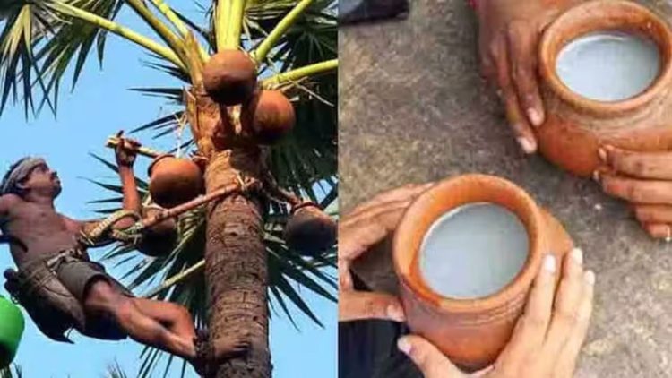 ബ്രിട്ടീഷ്-ഇന്ത്യ സ്വതന്ത്ര വ്യാപാര കരാറിൽ നമ്മുടെ കള്ളിനും കാര്യമുണ്ട്; യുകെയിൽ അംഗീകാരം ലഭിച്ചേക്കുമെന്ന് പ്രതീക്ഷ