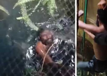 ജയിൽ ചാടി മണിക്കൂറുകൾ കഴിഞ്ഞിട്ടും രണ്ടു കി. മീ. അപ്പുറം പോലും കടത്താനായില്ല!! പദ്ധതികൾ നേരത്തെ തയാറാക്കി, കയ്യിൽ ടൂൾസ്, ജയിൽ ചാടിയത് 4.15ന്, പോലീസ് വിവരമറിഞ്ഞത് 6.30ന്, പ്രതിക്ക് പുറത്തുനിന്ന് സഹായം ലഭിച്ചോയെന്ന് പരിശോധിക്കും, എല്ലാവർക്കും നന്ദി- കണ്ണൂർ എസ്പി