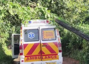 മൃതദേഹവുമായി പോവുകയായിരുന്ന ആംബുലൻസിനു മുകളിലേക്ക് ഒടിഞ്ഞുവീണു, അപകടം സമീപത്തുകൂടി പോവുകയായിരുന്ന കണ്ടെയ്നർ ലോറി വൈദ്യുത ലൈനിൽ കൊളുത്തി വലിച്ചത്, വാഹനത്തിലുണ്ടായിരുന്നവർ രക്ഷപ്പെട്ടത് തലനാരിഴയ്ക്ക്