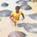 നദിയിലിറങ്ങിയ 73 എരുമകൾ കൂട്ടത്തോടെ ചത്തു പൊങ്ങി, കാരണം മുതലകളോ അതോ വിഷമോ, കണ്ടെത്താൻ പരിശോധന