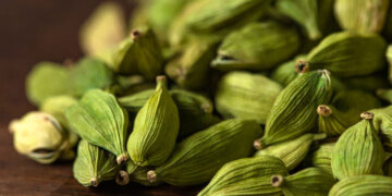 ഭക്ഷണത്തിന് ശേഷം പതിവായി ഒരു ഏലയ്ക്ക കഴിച്ചുനോക്കൂ… ​ഗുണങ്ങൾ പലത്