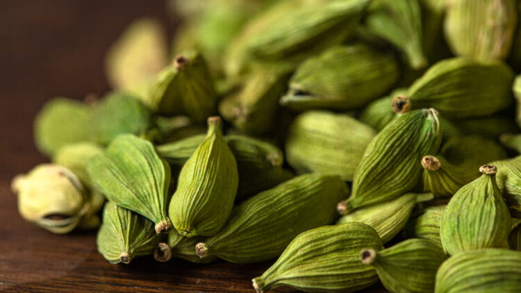 ഭക്ഷണത്തിന് ശേഷം പതിവായി ഒരു ഏലയ്ക്ക കഴിച്ചുനോക്കൂ… ഗുണങ്ങൾ പലത്