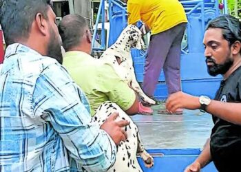 അമ്മ വിദേശത്ത്, നാലാം ക്ലാസുകാരൻ മകനെ 26 പട്ടികൾക്കൊപ്പം വാടക വീട്ടിലുപേക്ഷിച്ച് പിതാവ് നാടുവിട്ടു, കുഞ്ഞ് പേടിച്ച് അമ്മയെ വിളിച്ചു!! പോലീസെത്തി കുട്ടിയെ രക്ഷപ്പെടുത്തി, 3 ദിവസമായി വിശന്നുവലഞ്ഞ നായകളെ എസ്പിസിഎ പ്രവർത്തകരും ഏറ്റെടുത്തു