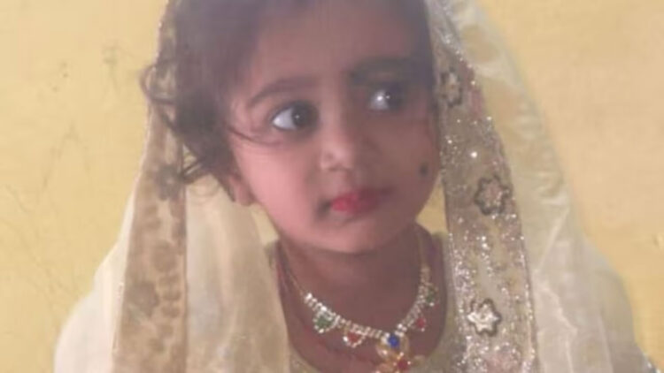 തെരുവുനായയുടെ കടിയേറ്റ് നാല് മാസമായി ചികിത്സയിൽ; നാല് വയസ്സുകാരി മരിച്ചു