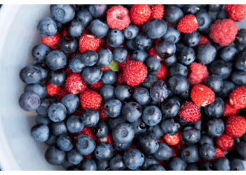 പ്രമേഹം ഉള്ളവർക്ക് കഴിക്കാവുന്ന 4 പഴങ്ങൾ ഇതാണ്