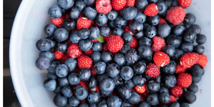 പ്രമേഹം ഉള്ളവർക്ക് കഴിക്കാവുന്ന 4 പഴങ്ങൾ ഇതാണ്