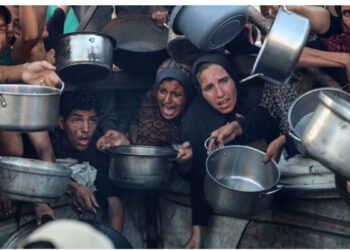 പോഷകാഹാരമില്ലാതെ കുട്ടികൾ, ഭക്ഷ്യക്ഷാമം; ഗാസയെ പൂർണ്ണ ക്ഷാമ ബാധിത പ്രദേശമായി പ്രഖ്യാപിക്കാൻ ഐപിസി