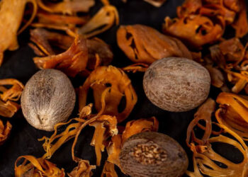 ജാതിക്കയുടെ അതിശയിപ്പിക്കുന്ന ആരോ​ഗ്യ​ഗുണങ്ങൾ