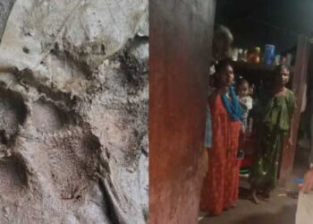 വളർത്തുനായയെ ഓടിച്ച് പുലി ചെന്നുകയറിയത് ആൾത്താമസമുള്ള വീട്ടിൽ, പുലിയെ കണ്ട് കൈക്കുഞ്ഞുമായി യുവതി മുറിയുടെ വാതിലടച്ചതിനാൽ അപകടം ഒഴിവായി, വാതിൽ മാന്തി തുറക്കാൻ ശ്രമിച്ചതായി വീട്ടുകാർ