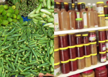 5000 ഓണം ഗിഫ്റ്റ് ഹാമ്പറുകൾ പുറത്തിറക്കാൻ കുടുംബശ്രീ; ഇത്തവണ 25000 ഏക്കറിലെ പച്ചക്കറിയും പൂക്കളും വിപണിയിലേക്ക്