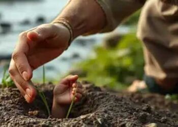 കാലികളെ മേയ്ക്കുന്നതിനിടെ മണ്ണിനടിയിൽ നിന്ന് ഒരു കുഞ്ഞിന്റെ നേർത്ത കരച്ചിൽ!! ആട്ടിടയൻ മണ്ണ് നീക്കിനോക്കിയപ്പോൾ കണ്ടത് പുറത്തേക്ക് നീണ്ടുനിൽക്കുന്ന ഒരു കുഞ്ഞിക്കൈ, ശരീരമാസകലം ഉറുമ്പുകൾ കൂടുകൂട്ടിയിരിക്കുന്നു, നവജാത ശിശുവിനെ ജീവനോടെ കുഴി‍ച്ചിട്ട നിലയിൽ