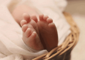 ആശുപത്രിയില്‍ വെച്ച് എലികടിച്ച് മൂന്ന് ദിവസം പ്രായമായ കുഞ്ഞ് മരിച്ചു ; മൃതദേഹം സംസ്‌ക്കാരത്തിനായി തുറന്നപ്പോള്‍ നാലുവിരലുകള്‍ കാണാനില്ലായിരുന്നു ; എലി കടിച്ച് മരിച്ച രണ്ട് നവജാതശിശുക്കളില്‍ ഒരാള്‍