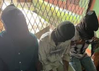 കെഎസ് യു പ്രവര്‍ത്തകരെ കറുത്ത മുഖംമൂടി ധരിപ്പിച്ചു ; വടക്കാഞ്ചേരി എസ്എച്ച്ഒക്ക് പൊലീസ് ആസ്ഥാനത്തേക്ക് സ്ഥലം മാറ്റം