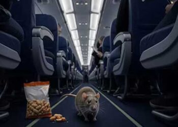 വിമാനം പുറപ്പെടാൻ തുടങ്ങുമ്പോൾ ദേണ്ടടാ ഓടുന്നു ടിക്കറ്റും പാസ്പോർട്ടും പോലുമില്ലാതെ ഒരുത്തൻ!! പിന്നാലെ അവനെ പിടിക്കാനായി പാഞ്ഞ് ജീവനക്കാർ… ഇൻഡിഗോ വിമാനത്തിൽ കയറിക്കൂടിയ എലി 140 യാത്രക്കാരേയും ജീവനക്കാരേയും വെള്ളംകുടിപ്പിച്ചത് 3 മണിക്കൂർ