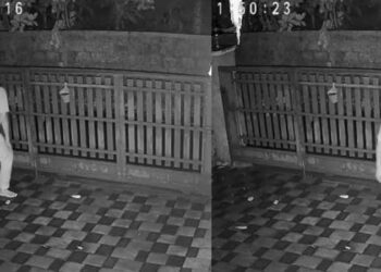 ആഴ്ചകളായി വീട്ടിൽ ആളില്ല, മരണാനന്തര ചടങ്ങിൽ പങ്കെടുക്കാൻ ഡോക്ടറും കുടുംബവും തിരുവനന്തപുത്തെ വീട്ടിലേക്ക് പോയ നേരത്ത് വീട് കുത്തിത്തുറന്ന് മോഷണം, മോഷണം പോയത് 40 പവൻ, മോഷ്ടാവിന്റെ ദൃശ്യങ്ങൾ സിസിടിവിയിൽ