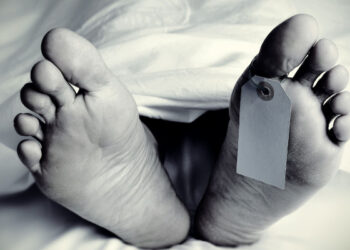 ഭക്ഷണം കഴിക്കാൻ പാലത്തിന് മുകളിൽ ഇരുക്കുന്നതിനിടെ തെങ്ങ് കടപുഴകി വീണു, തൊഴിലുറപ്പ് തൊഴിലാളികൾക്ക് ദാരുണാന്ത്യം, അഞ്ചുപേര്ക്ക് പരിക്ക്