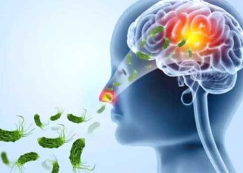 ആരോഗ്യ വകുപ്പ് പഠനത്തിൽ!! അമീബിക് മസ്തിഷ്ക ജ്വരം ബാധിച്ച വയോധിക മരിച്ചു, രണ്ടു ദിവസത്തിനിടെ രണ്ടു മരണം, ഇതുവരെ റിപ്പോർട്ട് ചെയ്തത് 129 കേസുകൾ, ഈ മാസംമാത്രം 41 കേസുകൾ