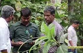 ഒഴിഞ്ഞ പറമ്പിൽ നിന്ന് അസ്ഥികളും തലയോട്ടിയും കണ്ടെത്തി; രണ്ട് മാസത്തിലധികം പഴക്കമുണ്ടെന്ന് നി​ഗമനം, ദുരൂഹത