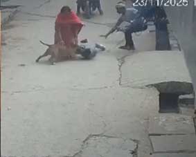 6 വയസുകാരന്റെ ചെവി കടിച്ചെടുത്ത് പിറ്റ്ബുള്; ഉടമ അറസ്റ്റില്, ഞെട്ടിക്കുന്ന ദൃശ്യങ്ങൾ പുറത്ത്