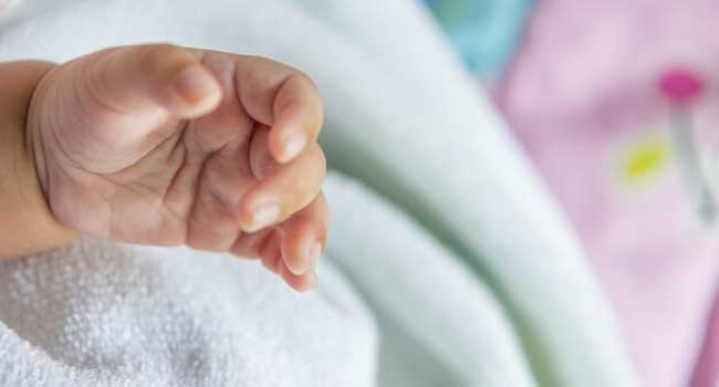 മകളെ നെഞ്ചോട് ചേർത്ത് അവസാനമായി ഒന്നു ചുംബിച്ച ശേഷം വെള്ള വിരി വിരിച്ച തൊട്ടിലിലേക്ക് കിടത്തി ആ അമ്മ ചാറ്റൽമഴയ്ക്കിടയിലൂടെ നടന്നുനീങ്ങി… വസന്തവും വർഷവും മഞ്ഞുകാലവും സംഗമിക്കുന്ന ഋതു കാലത്തെ ഓർമ്മിപ്പിച്ചുകൊണ്ട് അവൾക്ക് അവർ പേരിട്ടു, ‘നവംബർ’… തിരുവനന്തപുരത്തെ അമ്മത്തൊട്ടിലിൽ രണ്ട് മാസത്തിനിടെയെത്തിയത് 12 കുഞ്ഞുങ്ങൾ