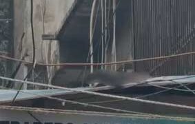 ഡൽഹി സ്ഫോടനം നടന്ന 1000 അടി അകലെ അറ്റുപോയ കൈയ്യുടെ അവശിഷ്ടം; കണ്ടെത്തിയത് കടയുടെ മേൽക്കൂരയിൽ നിന്ന്