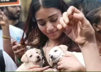 നായ കടിച്ചാല്‍ ഭയക്കേണ്ട, മനുഷ്യര്‍ തെറ്റ് ചെയ്താല്‍ അവരെ കൊല്ലാന്‍ ആരും ആവശ്യപ്പെടാറില്ലല്ലോ… പിന്നെയെന്തിന് നായകളെ കൊല്ലണം, ഭൂമി മനുഷ്യരുടേത് മാത്രമല്ല, നടി നിവേദയുടെ പരാമര്‍ശം വന്‍ വിവാദത്തില്‍