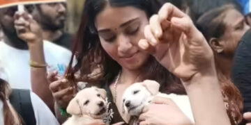 നായ കടിച്ചാല്‍ ഭയക്കേണ്ട, മനുഷ്യര്‍ തെറ്റ് ചെയ്താല്‍ അവരെ കൊല്ലാന്‍ ആരും ആവശ്യപ്പെടാറില്ലല്ലോ… പിന്നെയെന്തിന് നായകളെ കൊല്ലണം, ഭൂമി മനുഷ്യരുടേത് മാത്രമല്ല, നടി നിവേദയുടെ പരാമര്‍ശം വന്‍ വിവാദത്തില്‍