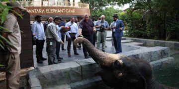 സുപ്രീംകോടതിക്ക് പിന്നാലെ അന്തർദേശീയ വന്യജീവി വ്യാപാര ഉടമ്പടിയുടേയും ക്ലീൻ ചിറ്റ് വൻതാരയ്ക്ക്