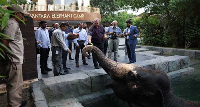 സുപ്രീംകോടതിക്ക് പിന്നാലെ അന്തർദേശീയ വന്യജീവി വ്യാപാര ഉടമ്പടിയുടേയും ക്ലീൻ ചിറ്റ് വൻതാരയ്ക്ക്